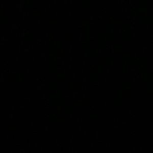 Meet your Posher, Gabriella